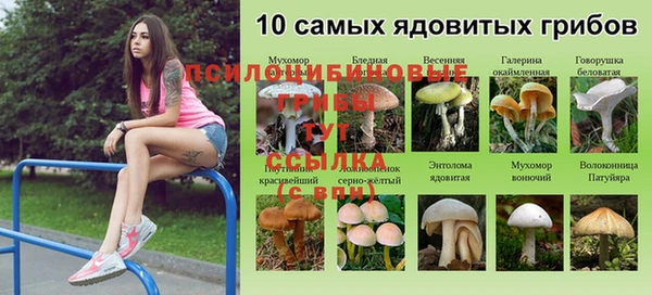стафф Белокуриха